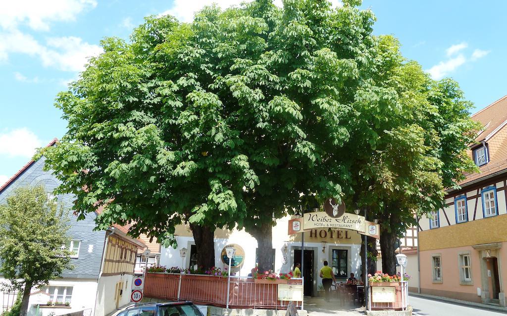 Mb Hotel Weisser Hirsch Hohnstein Εξωτερικό φωτογραφία